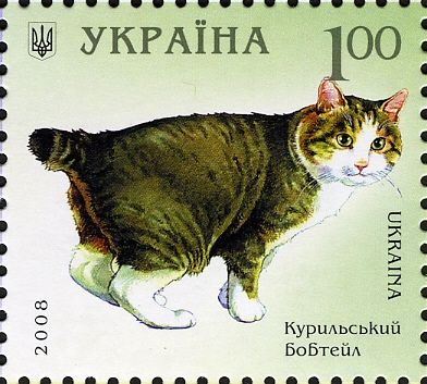 Kurile Island Bobtail (Felis silvestris catus)