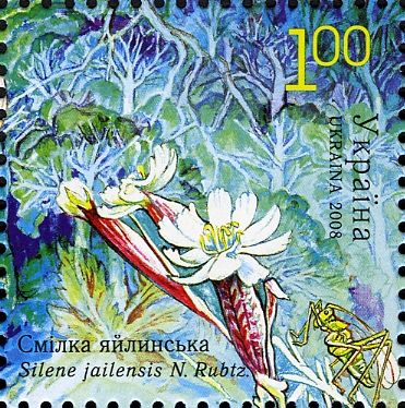 Silene jailensis