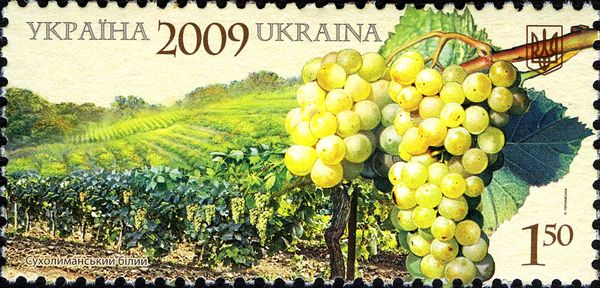 Sukholymansky White Grape