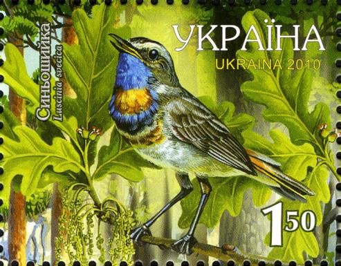Bluethroat (Luscinia svecica)