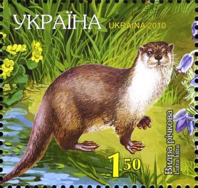 Eurasian Otter (Lutra lutra)