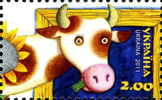 Cow