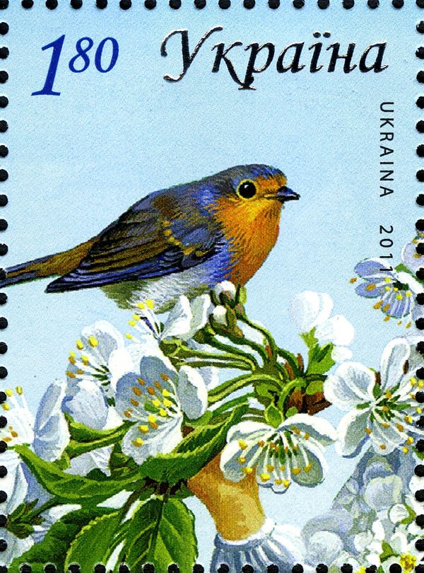 European Robin (Erithacus rubecula)