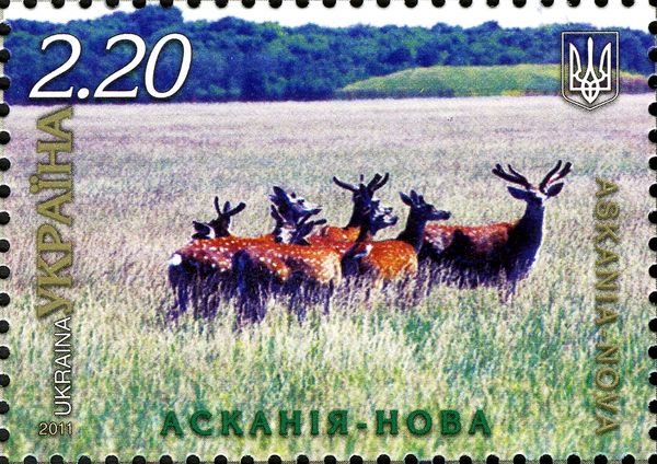 Askania Nova - Deer
