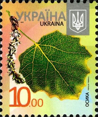 Common Aspen (Populus tremula)