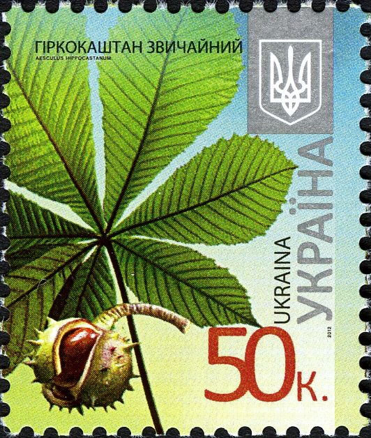 Horse Chestnut (Aesculus hippocastanum)