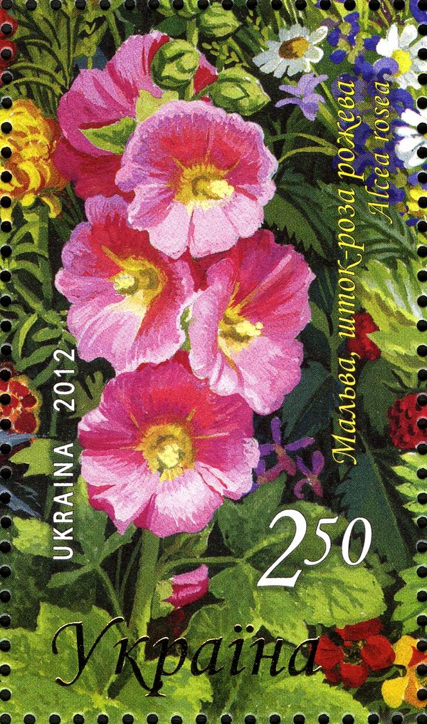 Alcea rosea