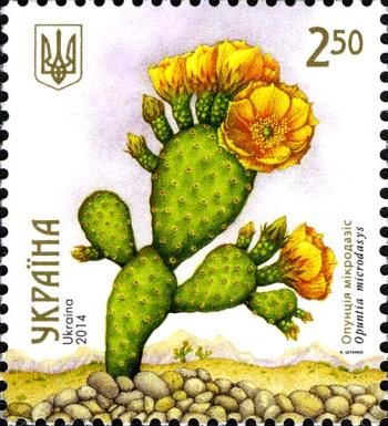 Opuntia microdasys