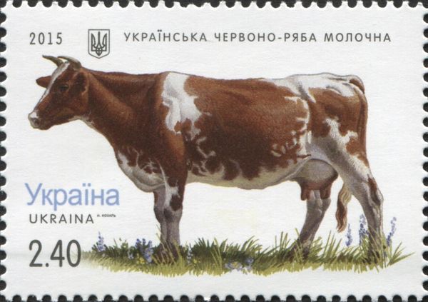 Red-speckled Ukrainian (Bos primigenius taurus)