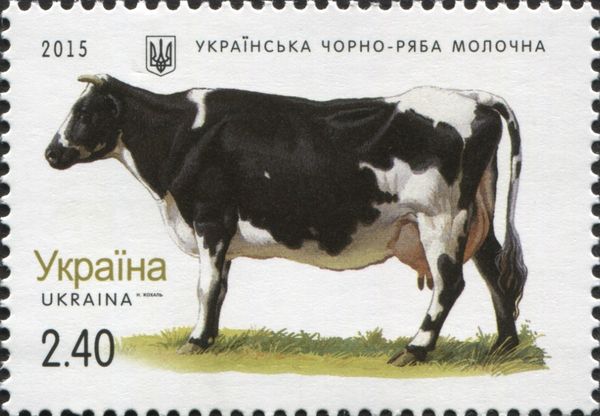 Black-speckled Ukrainian (Bos primigenius taurus)
