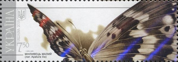 Lesser Purple Emperor (Apatura ilia)
