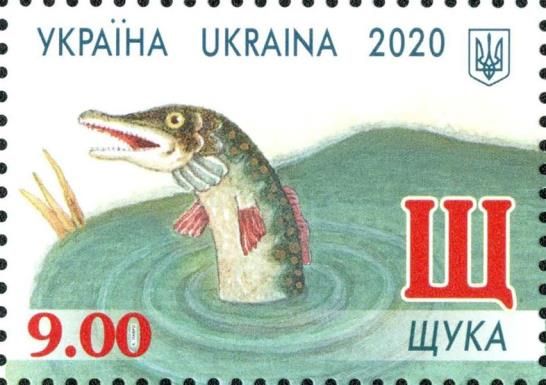 Pike (Esox lucius)