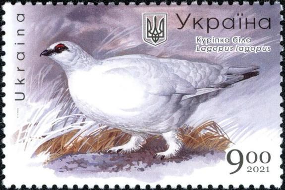 Willow Ptarmigan (Lagopus lagopus)