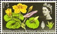Fringed Water Lily (phosphor)