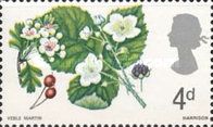 Hawthorn and Bramble (phosphor)