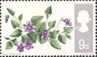 Dog Violet (phosphor)