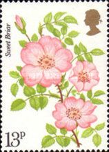 Sweet Briar