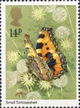 Small Tortoiseshell (Aglais urticae)