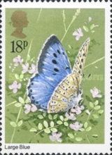 Large Blue (Maculinea arion)