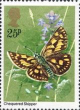 Chequered Skipper (Carterocephalus palaemon)