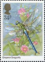 Emperor Dragonfly (Anax imperator)