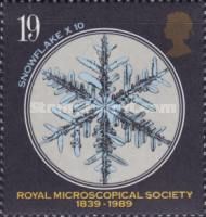 Snowflake x 10