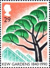 Stone Pine and Princess of Wales Conservatory