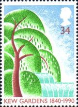 Willow Tree and Palm House