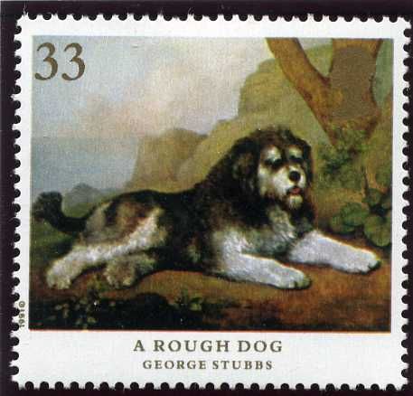 Rough Dog (Canis lupus familiaris)