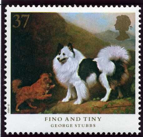 Fino and Tiny (Canis lupus familiaris)