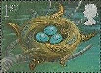 Thrush's Nest