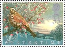 Redwing (Turdus iliacus)