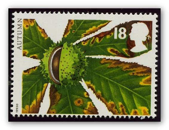 Autumn - Horse Chestnut