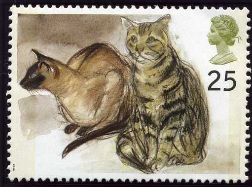 Puskas (Siamese) and Tigger (Tabby) (Felis silvestris catus)