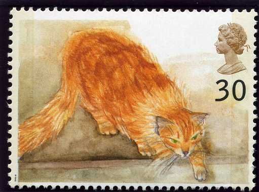 Chlloe (Ginger Cat) (Felis silvestris catus)