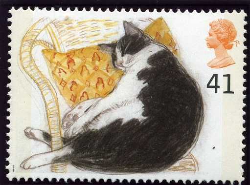 Fred (Black and White Cat) (Felis silvestris catus)