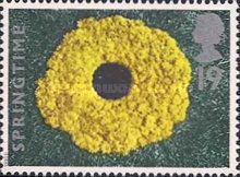 Springtime - Dandelions