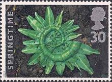 Garlic Leaves