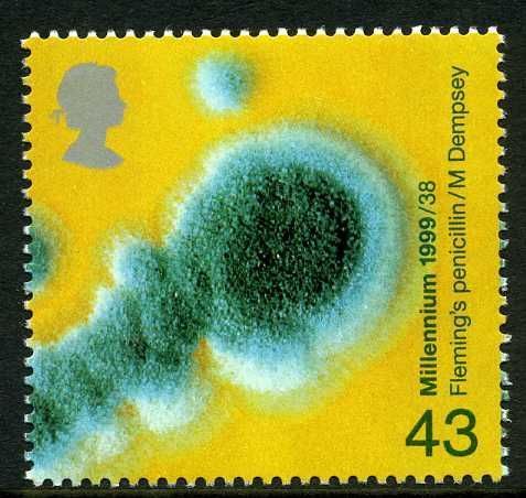 Penicillin Mould