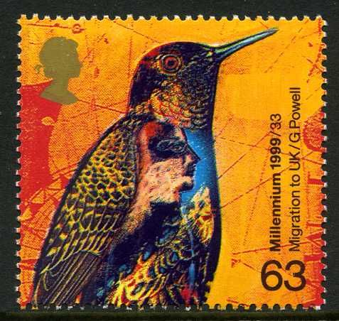 Hummingbird and Superimposed Stylized Face
