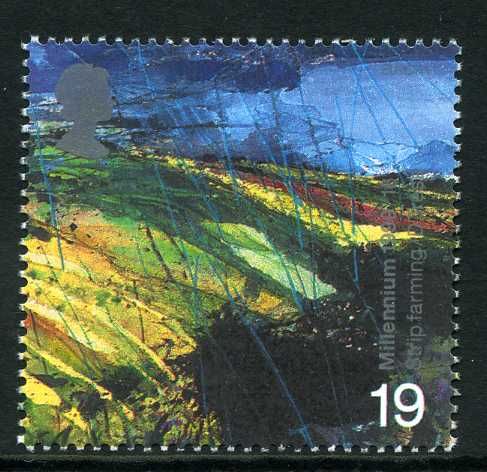 Upland Landscape (Strip Farming)