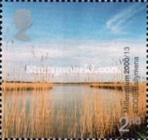 Reed Beds, River Braid (ECOS, Ballymena)