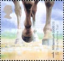 Horse's Hooves (Trans Pennine Trail, Derbyshire)