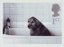 Dog in Bath