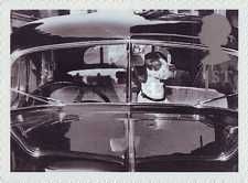 Dog in Car