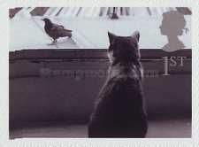 Cat watching Bird