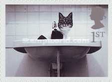 Cat in Washbasin