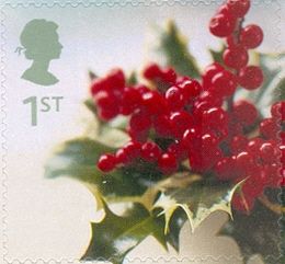 Holly