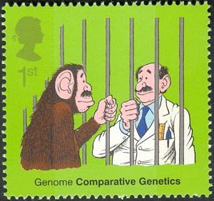Genome - Comparative Genetics