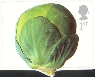 Brussels Sprout